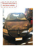 2005 DODGE GRAND CARAVAN SE Overhead Console Roof Dome Light Reading Lamp OEM
