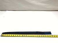 2001 - 2010 CHRYSLER PT CRUISER Rear Back Door Belt Molding Strip Right RH
