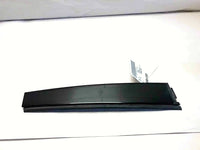 2001 -2005 CHRYSLER PT CRUISER Rear Door Molding Applique Trim Panel Driver Left