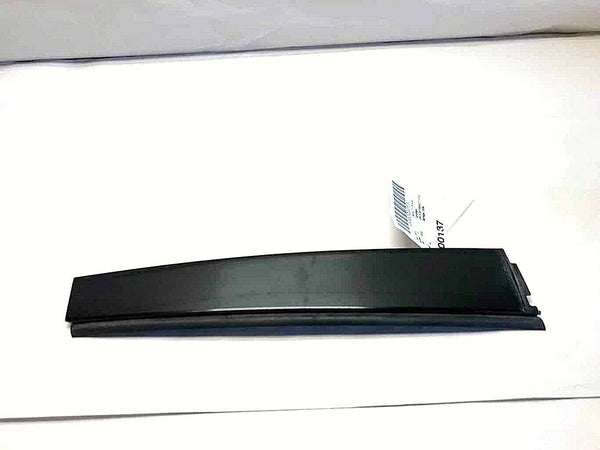 2001 -2005 CHRYSLER PT CRUISER Rear Door Molding Applique Trim Panel Driver Left