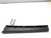 2001 -2005 CHRYSLER PT CRUISER Rear Door Molding Applique Trim Panel Driver Left