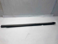 1999 LINCOLN NAVIGATOR Rear Back Door Molding Strip Trim Passenger Right RH