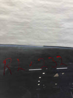 1994 - 1997 HONDA ACCORD Rear Door Glass Window Left Driver Side LH Privacy Tint