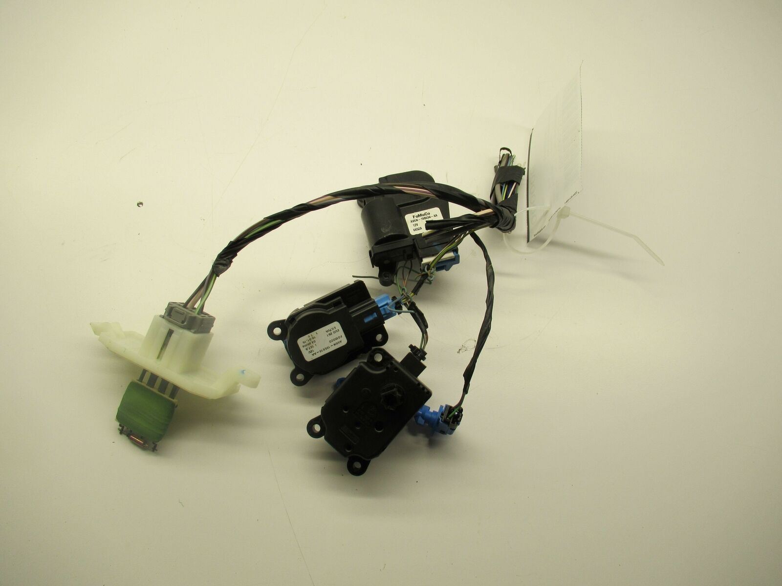 user_58513ac6ページ 203484555534-0_2048x.jpg?v=