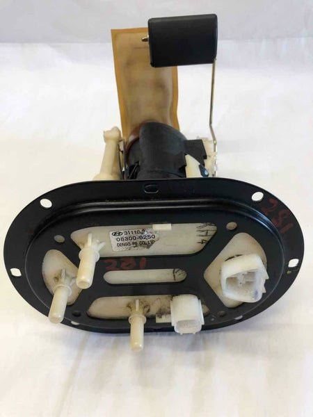 2003 HYUNDAI SANTA FE Fuel Gas Pump Assembly 2.4L Code 08300-0250 G