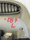 1999 CHRYSLER TOWN CNTRY Roof Rear Left Side Grab Handle w/ Dome Interior Light