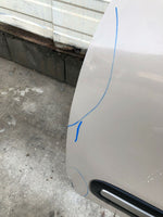 2014 - 2020 FIAT 500 Front Door Paint Code 231B Left Driver Side LH Wagon G