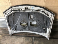 2001 - 2003 MAZDA PROTEGE Front Hood Panel Paint Code 22V 2.0L Hatchback G