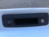 DODGE PICKUP 1500 2009 - 2020 Trunk Decklid Hatch Tailgate w/ Rear View Camera M