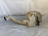 2006 - 2007 CHEVROLET MONTE CARLO Windshield Wiper Washer Fluid Reservoir Bottle