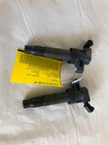 2009 - 2015 HYUNDAI SONATA 2.4L 4 Cylinder 2 Pieces Ignition Coil Ignitor OEM