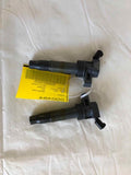 2009 - 2015 HYUNDAI SONATA 2.4L 4 Cylinder 2 Pieces Ignition Coil Ignitor OEM