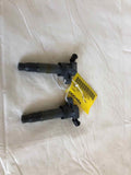 2009 - 2015 HYUNDAI SONATA 2.4L 4 Cylinder 2 Pieces Ignition Coil Ignitor OEM