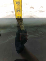 2014 TESLA S Hatchback 4-Door Rear Door Glass Window Right Passenger Side RH
